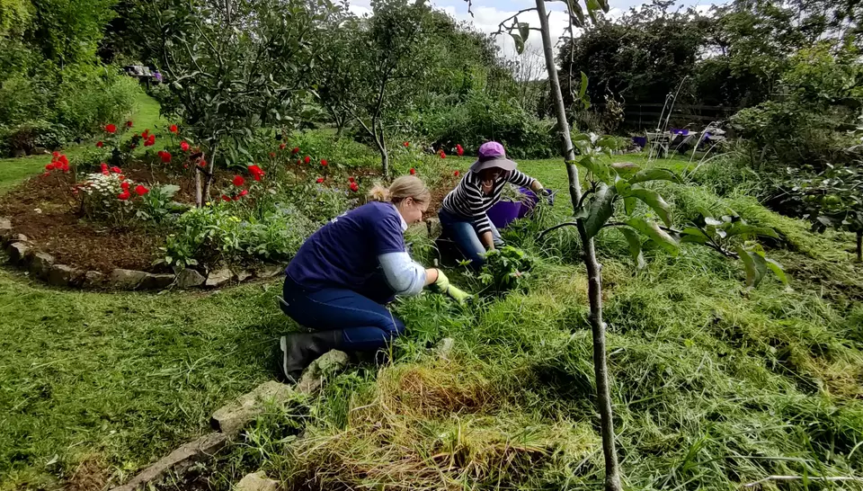 sustainabiliy report 2023