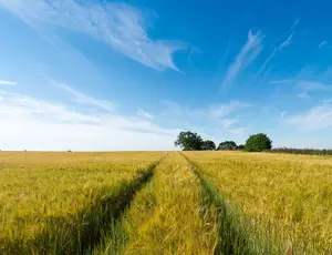 Energy, waste and water solutions for the food and beverage industries