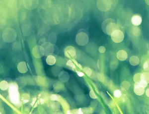 Advantages of biomass, renewable fuel source