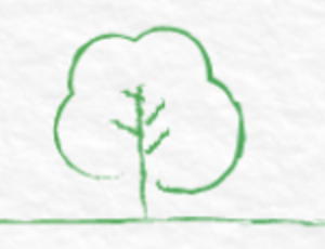 Environment Sustainability Report 2016