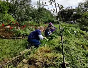 sustainabiliy report 2023