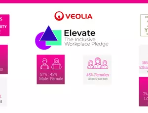 BITC Veolia Ireland report inclusion diversity