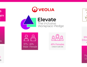 BITC Veolia Ireland report inclusion diversity