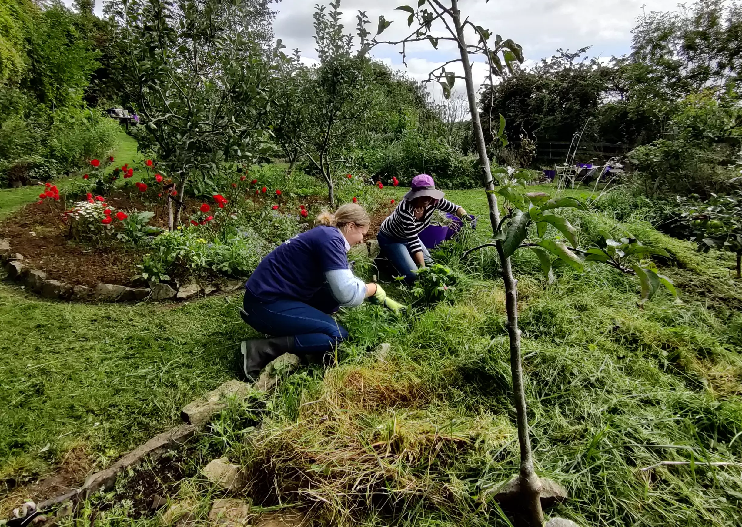 sustainabiliy report 2023