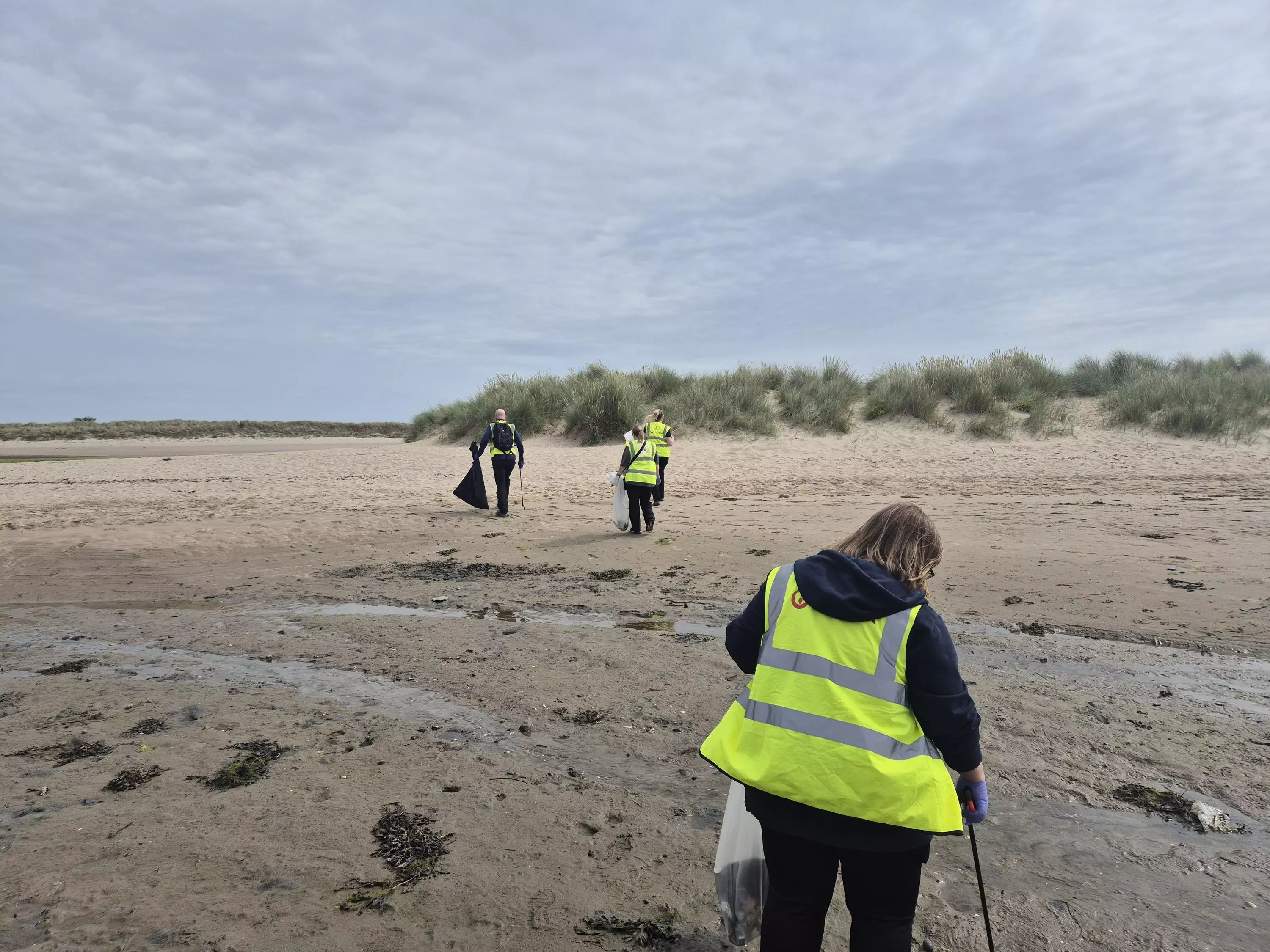 world ocean day veolia Ireland volunteers