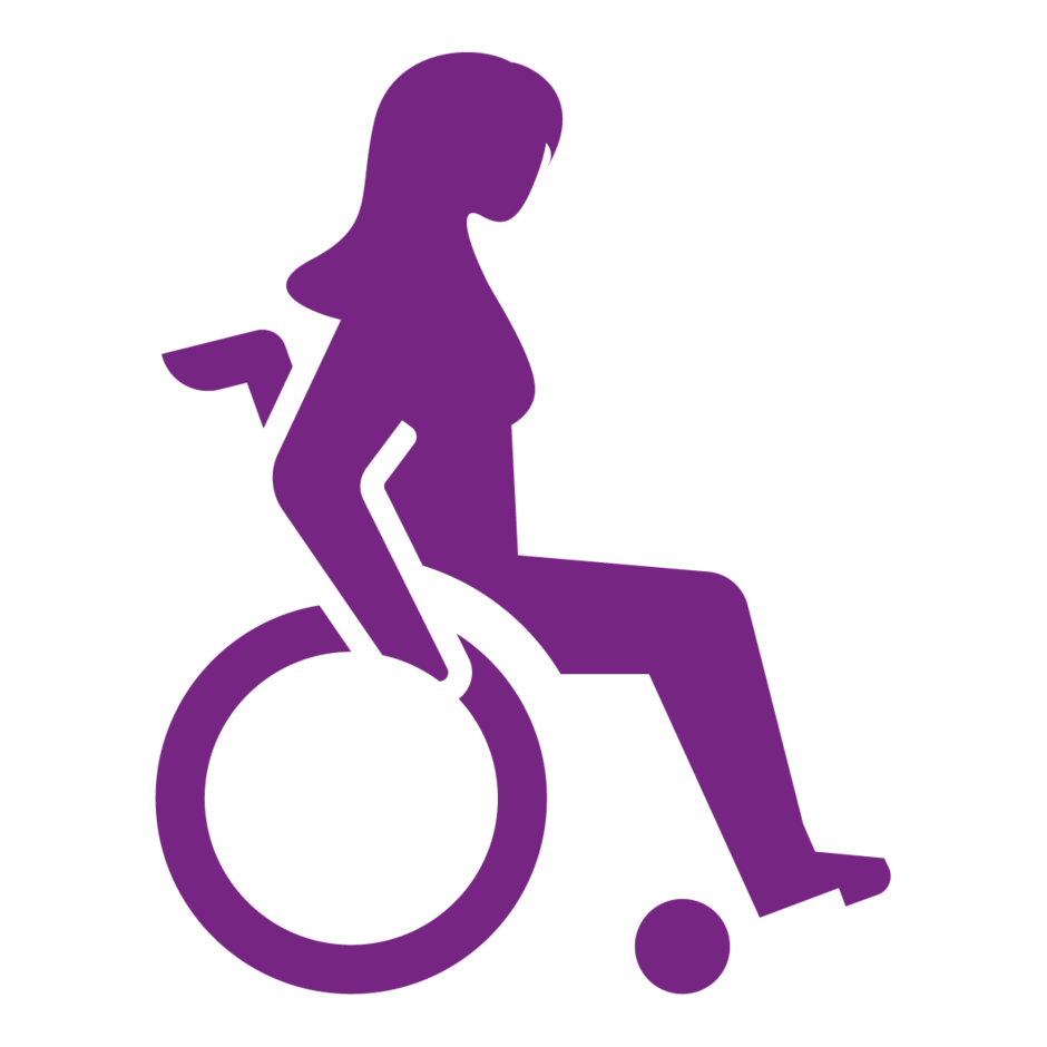 disability picto purple