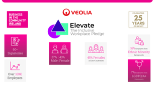 BITC Veolia Ireland report inclusion diversity